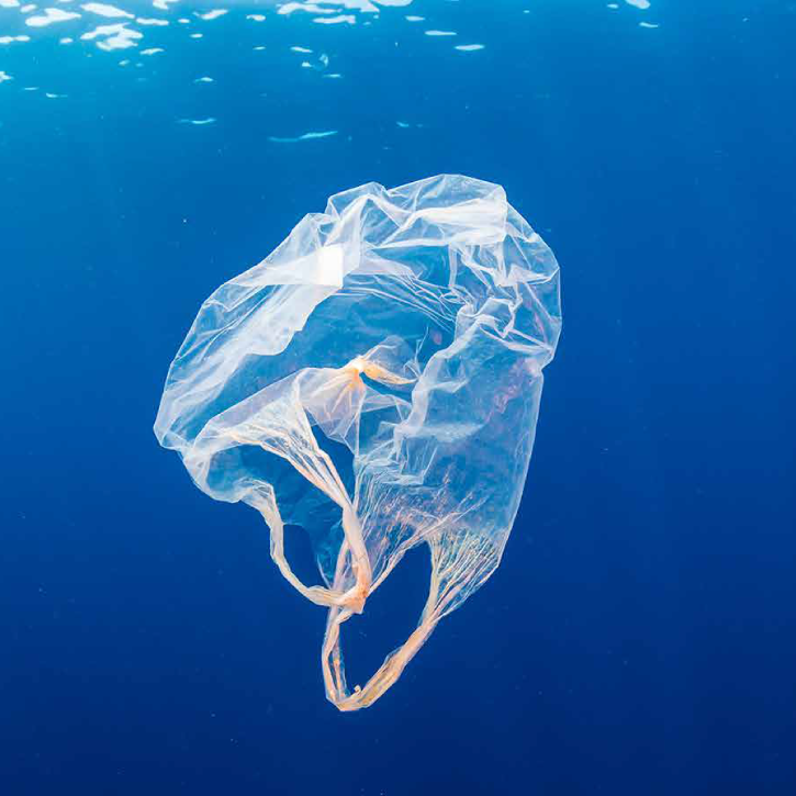 Plastic bag in Ocean