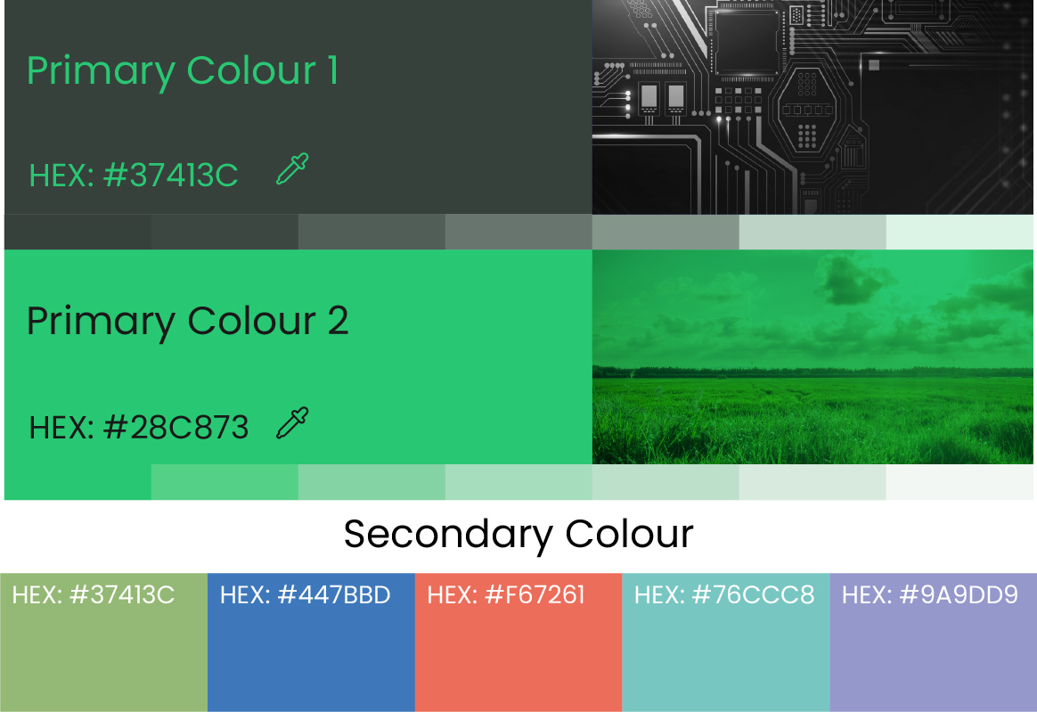 Brand Colour Palette