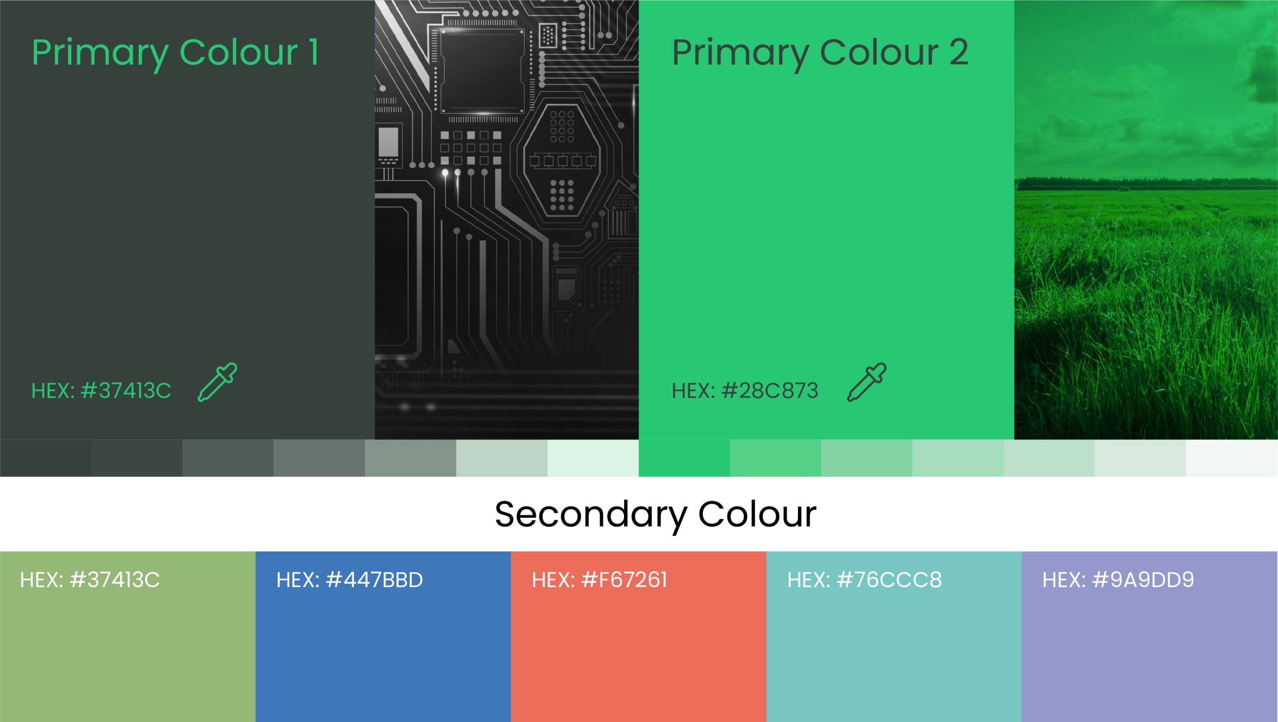 Brand Colour Palette