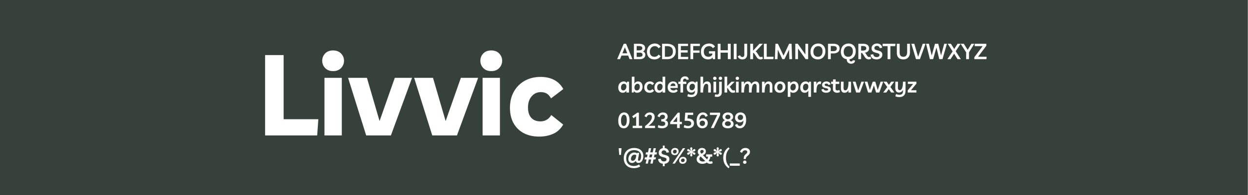 Brand Typeface